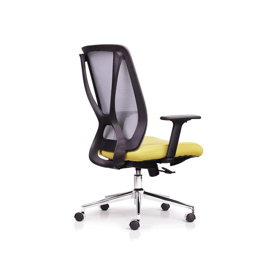 Ghế Lepus GVP251